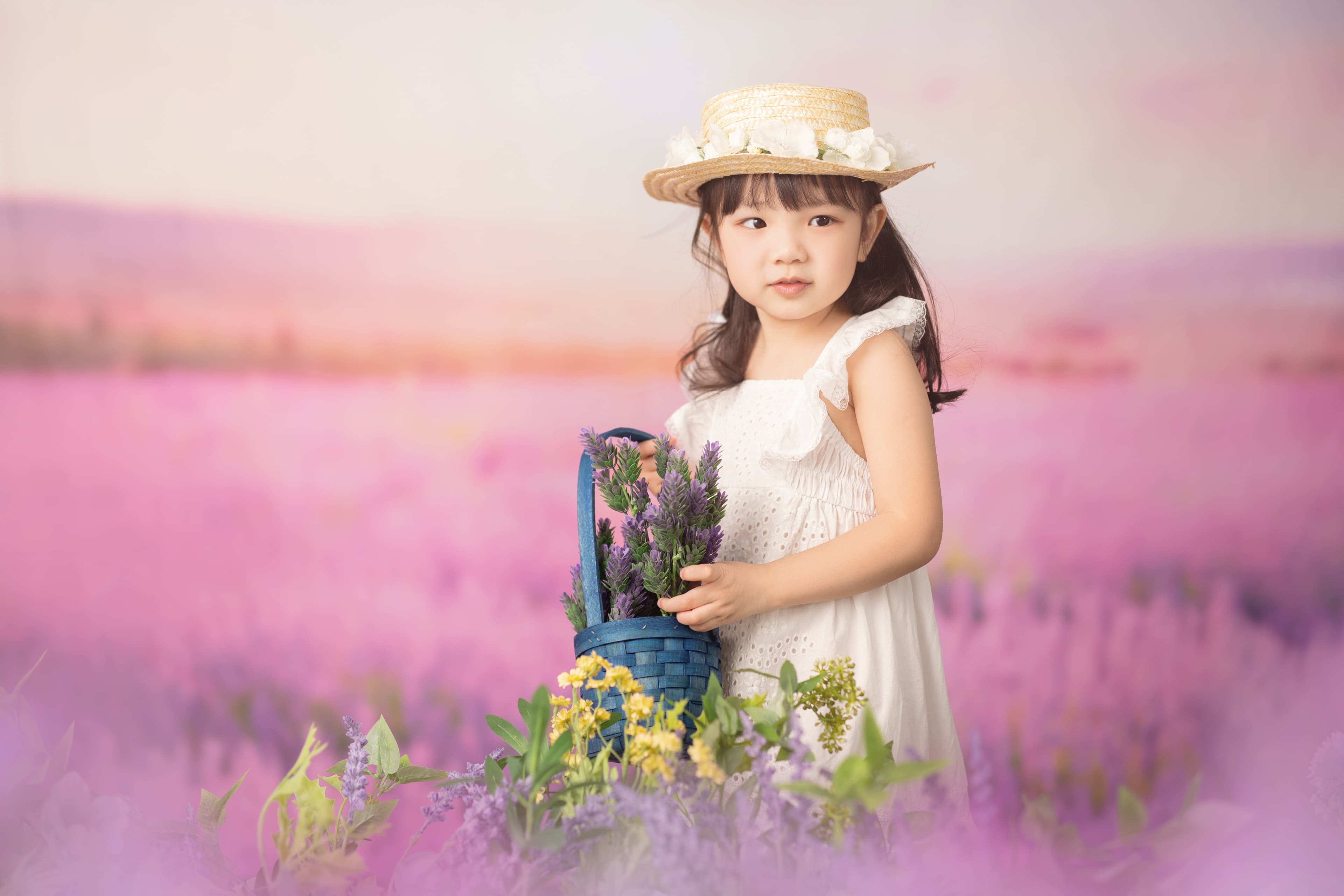 薰衣草海 (Lavandula Sea)