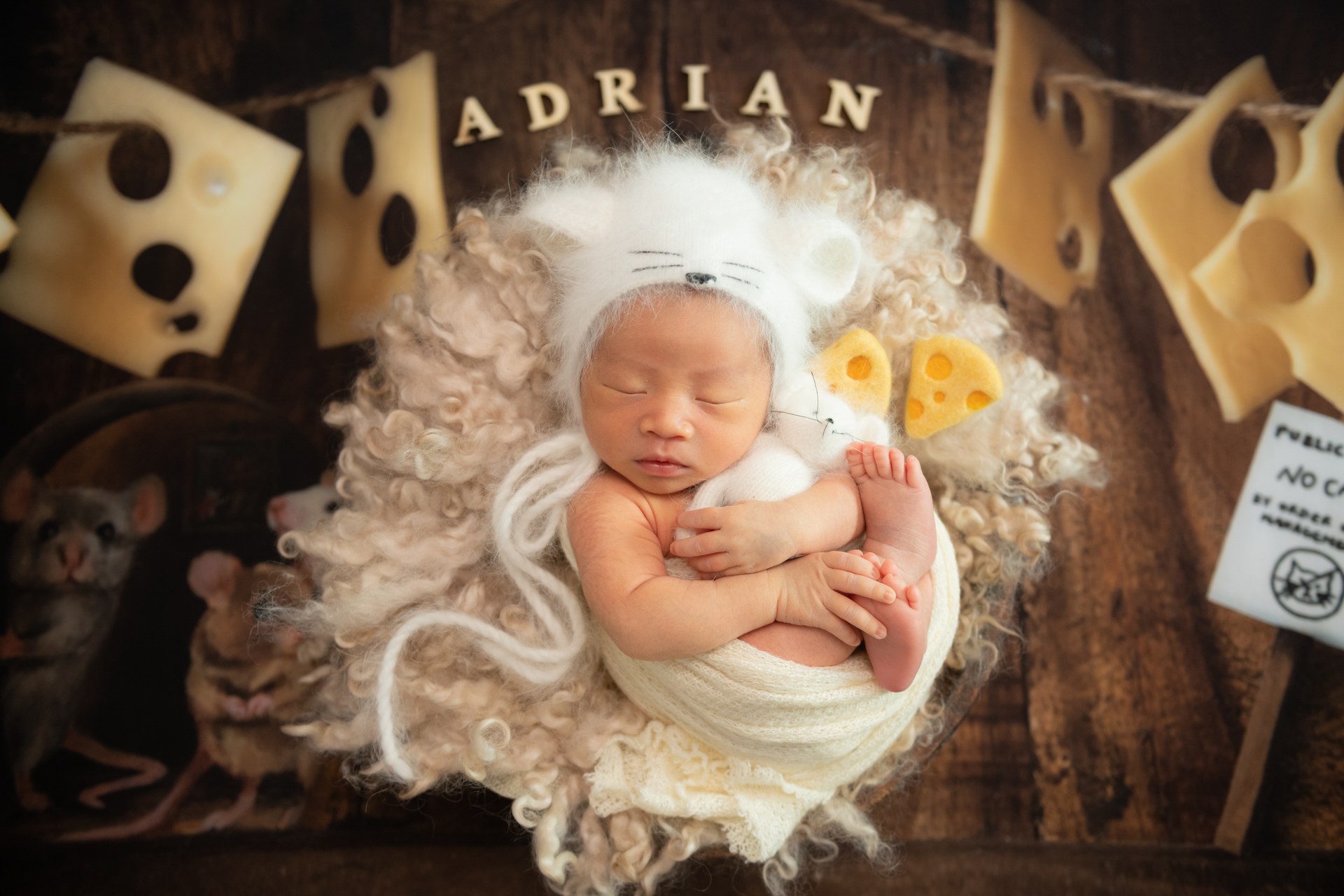 Newborn Photography - Curled Sleeping Pose